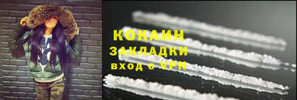 мдпв Богородск