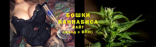 мдпв Богородск