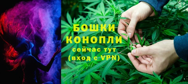 мдпв Богородск