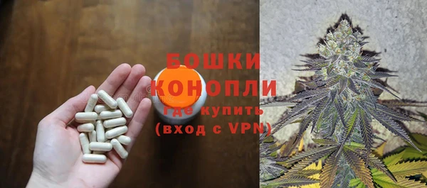 прущие крисы Богданович