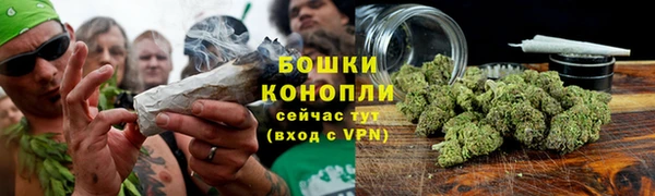 прущие крисы Богданович