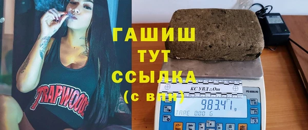 мдпв Богородск