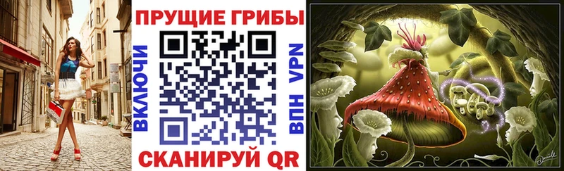 даркнет сайт  Котово  Галлюциногенные грибы Cubensis 